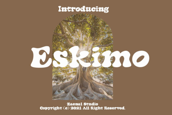 Eskimo Display Font: A Stylish Choice for Modern Design