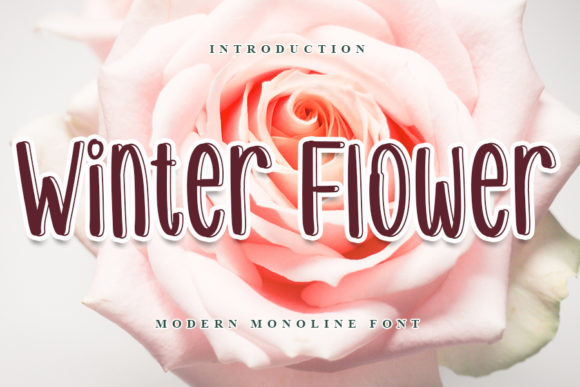 Winter Flower: The Playful Display Font for Creative Projects